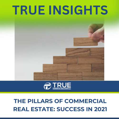 Insights 5