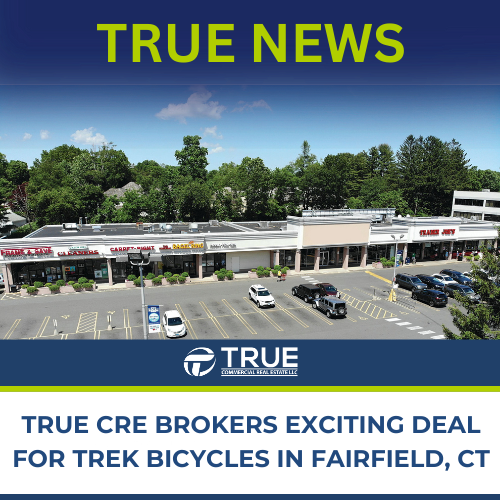 Trek ffld